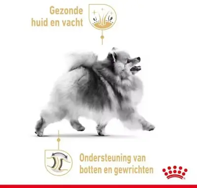Royal Canin Pomeranian Adult 1,5kg - afbeelding 4