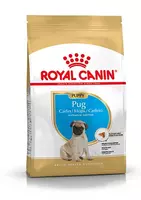 Royal Canin Pug (mopshond) Adult 1,5kg kopen?
