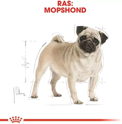 Royal Canin Pug (mopshond) Adult 1,5kg - afbeelding 2