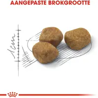 Royal Canin Regular Fit 32 adult 10+2kg - afbeelding 3
