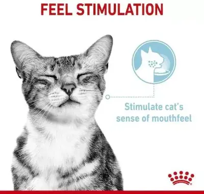 Royal Canin Sensory feel in gravy 12x85gr - afbeelding 2