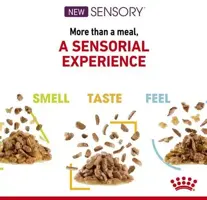 Royal Canin Sensory multipack in saus 12x85 gram - afbeelding 2