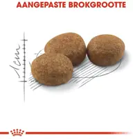 Royal Canin Sterilised 10+ kattenvoer 2kg - afbeelding 5