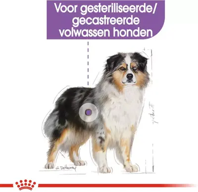 Royal Canin Sterilised Medium 3kg - afbeelding 3