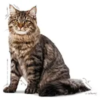 Royal Canin Urinary Care in gravy natvoer kat, 85g - afbeelding 3