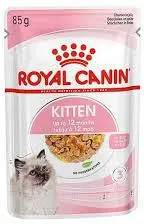 Royal Canin voor kittens natvoer in gelei 85g