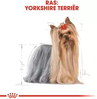 Royal Canin Yorkshire Terrier Adult natvoer 12x85g - afbeelding 2