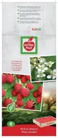 Rubus idaeus 'Glen Ample' (Framboos) fruitplant 60cm - afbeelding 3