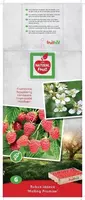 Rubus idaeus 'Malling Promise' (Framboos) fruitplant 65cm - afbeelding 4