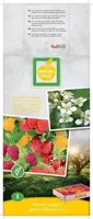 Rubus idaeus 'Quatro framboos' (Framboos) fruitplant 65cm - afbeelding 4