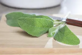 Salvia officinalis (Echte salie) - afbeelding 23