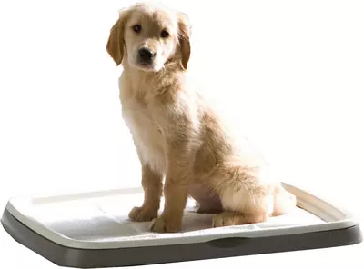 Savic puppy trainer large, starterkit - afbeelding 2