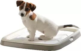 Savic puppy trainer medium, starterkit - afbeelding 2