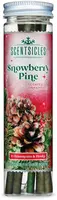 Scentsicles geurstokjes - Snowberry Pine 6 stuks - afbeelding 1
