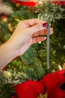 Scentsicles Spiced Pine Cones Geurstokjes 6 stuks - afbeelding 2