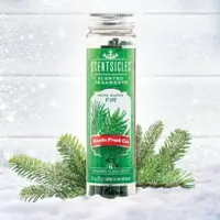 Scentsicles White Winter Fir Geurstokjes 6 stuks - afbeelding 4