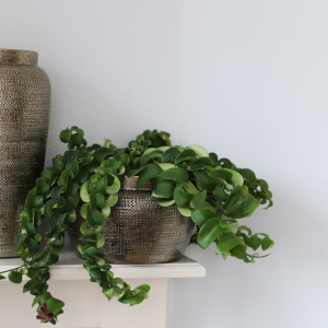 Schalen & Sierborden