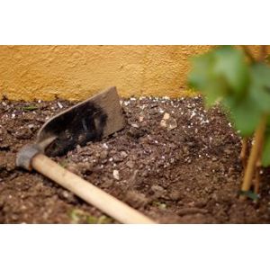 Schoffels & Krabbers