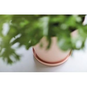 Schotels & Lekbakken