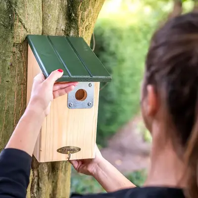 Seattle roofdierbeschermings nestbox - afbeelding 3