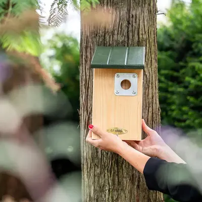 Seattle roofdierbeschermings nestbox - afbeelding 4