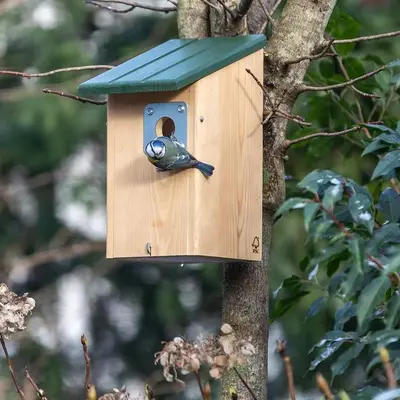 Seattle roofdierbeschermings nestbox - afbeelding 5