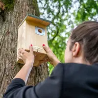 Seattle roofdierbeschermings nestbox - afbeelding 6