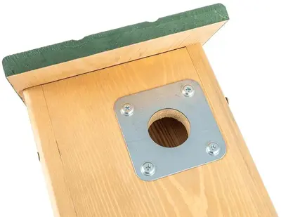Seattle roofdierbeschermings nestbox - afbeelding 15