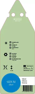 Sedum Album (Vetkruid) - afbeelding 2