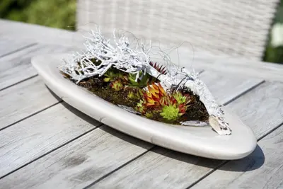 Sempervivum (Huislook) - afbeelding 52