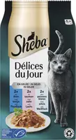 Sheba Délices du Jour In Gelei – Vis 6×50 g kopen?