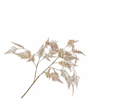 Silk-ka kunsttak asparagus 113cm oranje - afbeelding 1