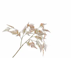 Silk-ka kunsttak asparagus 113cm oranje - afbeelding 1