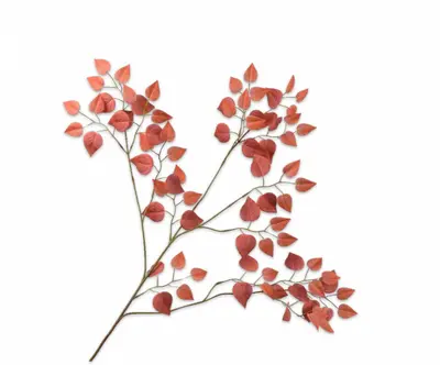 Silk-ka kunsttak blad 112cm rood, oranje - afbeelding 1