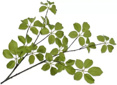 Silk-ka kunsttak blad 120cm groen - afbeelding 1