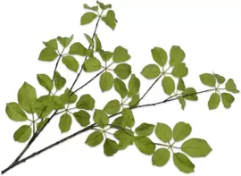 Silk-ka kunsttak blad 120cm groen - afbeelding 1