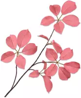 Silk-ka kunsttak blad 74cm roze - afbeelding 1