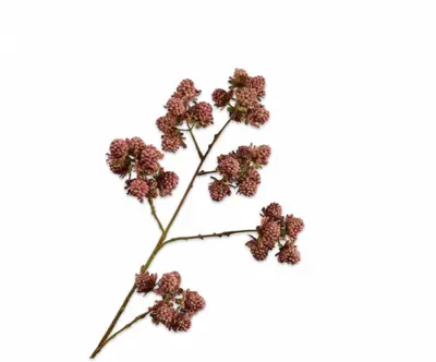 Silk-ka kunsttak braam 78cm mauve - afbeelding 1