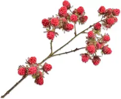 Silk-ka kunsttak braam 78cm rood - afbeelding 1
