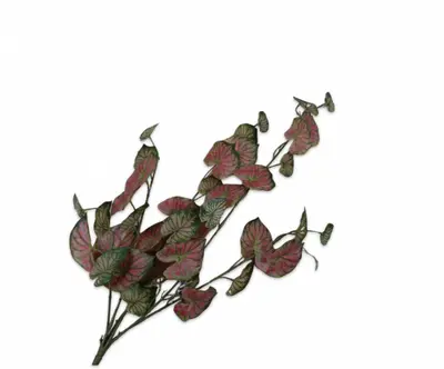 Silk-ka kunsttak caladium 82cm groen, roze - afbeelding 1