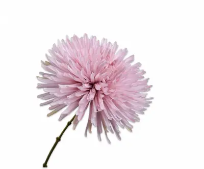 Silk-ka kunsttak chrysant 60cm lila - afbeelding 1