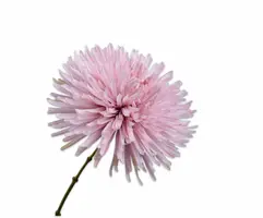 Silk-ka kunsttak chrysant 60cm lila - afbeelding 1
