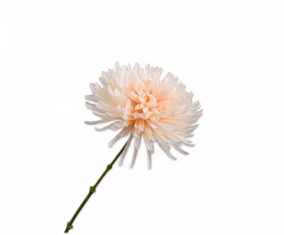 Silk-ka kunsttak chrysant 62cm creme - afbeelding 1