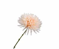Silk-ka kunsttak chrysant 62cm creme - afbeelding 1
