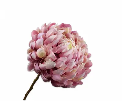 Silk-ka kunsttak chrysant 64cm lavendel - afbeelding 1