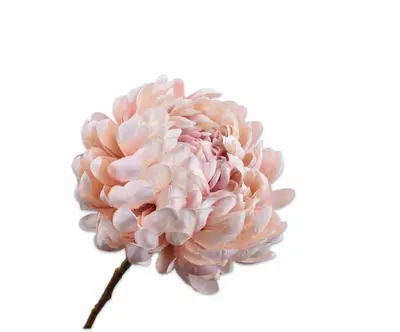 Silk-ka kunsttak chrysant 64cm roze - afbeelding 1