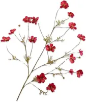 Silk-ka kunsttak cosmos 104cm rood - afbeelding 1
