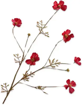 Silk-ka kunsttak cosmos 77cm beauty - afbeelding 1