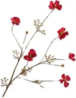 Silk-ka kunsttak cosmos 77cm beauty - afbeelding 1