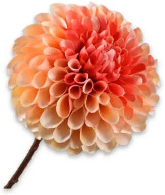 Silk-ka kunsttak dahlia 64cm oranje - afbeelding 1